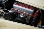 MG TF Roadster 1954 года